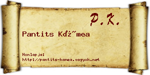Pantits Kámea névjegykártya